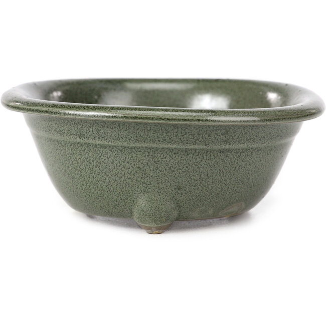 Maceta de bonsái verde redonda de Seto Yaki - 114 x 114 x 44 mm