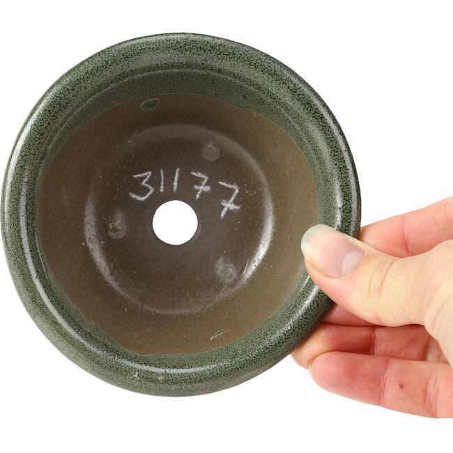 Maceta de bonsái verde redonda de Seto Yaki - 114 x 114 x 44 mm