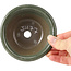 Pot à bonsaï rond vert par Seto Yaki - 114 x 114 x 44 mm