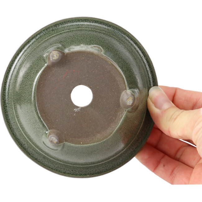 Round green bonsai pot by Seto Yaki - 114 x 114 x 44 mm