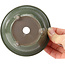 Pot à bonsaï rond vert par Seto Yaki - 114 x 114 x 44 mm
