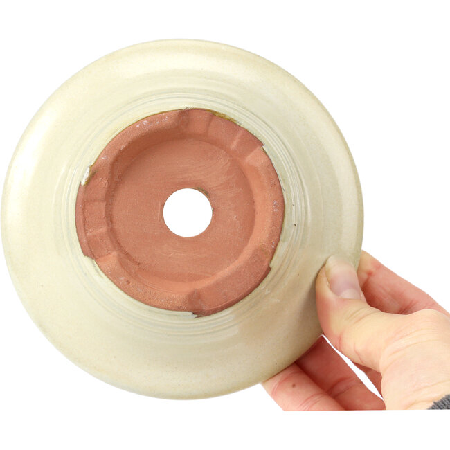 Maceta de bonsái redonda beige - 133 x 133 x 61 mm