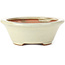 Pot à bonsaï rond beige - 132 x 132 x 52 mm