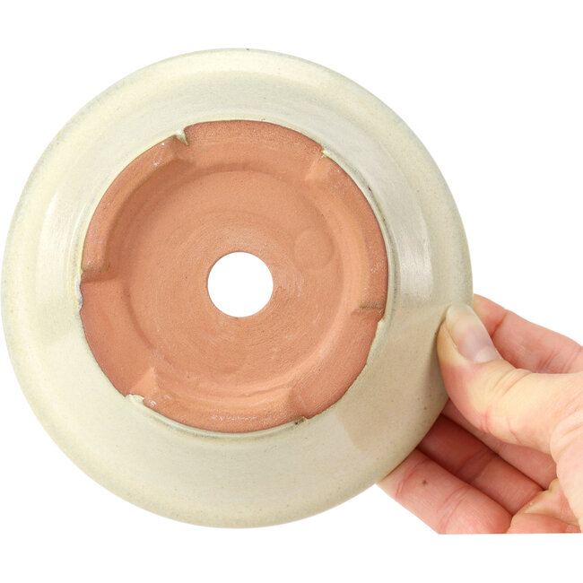 Ronde beige bonsaipot - 132 x 132 x 52 mm