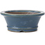 Pot à bonsaï rond bleu - 116 x 116 x 46 mm