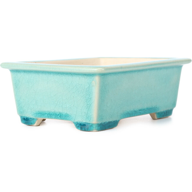 Pot à bonsaï rectangulaire bleu - 152 x 120 x 55 mm