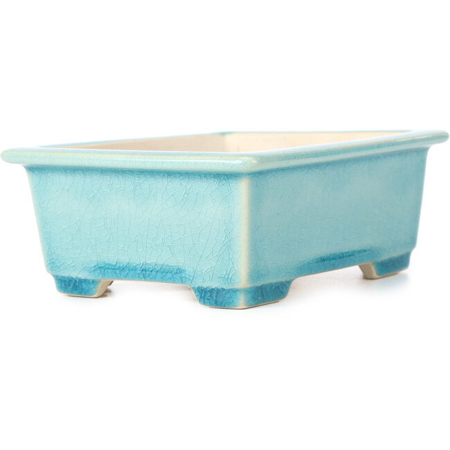 Vaso per bonsai blu rettangolare - 152 x 120 x 55 mm