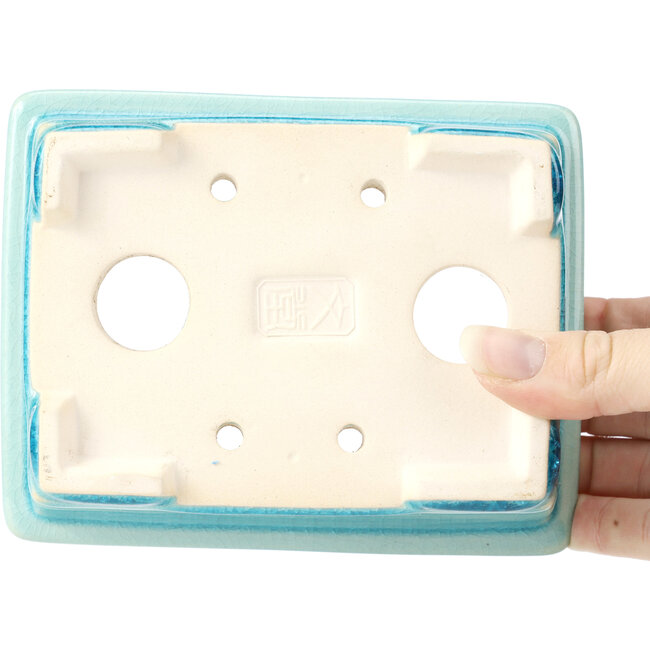 Pot à bonsaï rectangulaire bleu - 152 x 120 x 55 mm