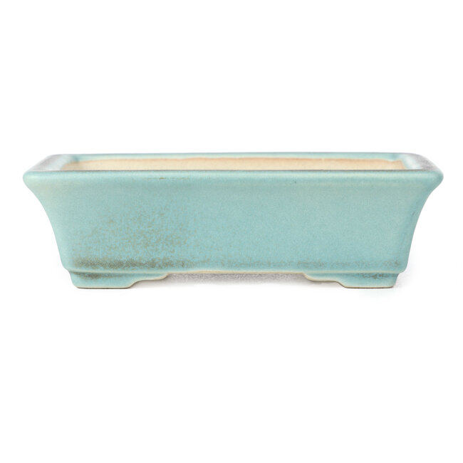 Pot à bonsaï rectangulaire bleu - 141 x 100 x 39 mm