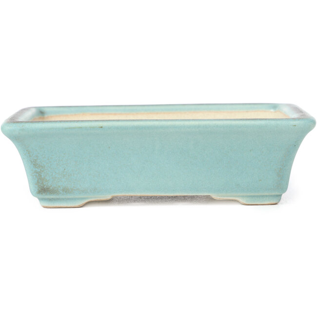 Vaso bonsai blu rettangolare - 141 x 100 x 39 mm