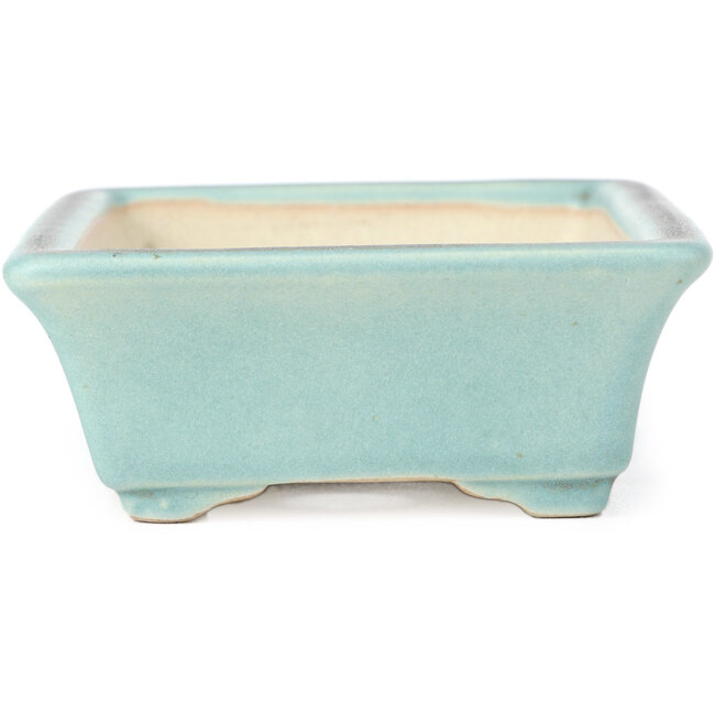 Vaso bonsai blu rettangolare - 141 x 100 x 39 mm