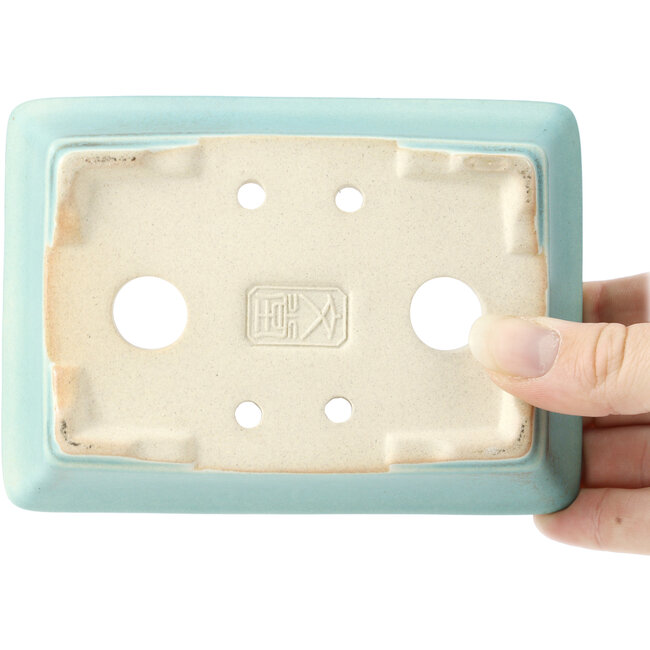Pot à bonsaï rectangulaire bleu - 141 x 100 x 39 mm