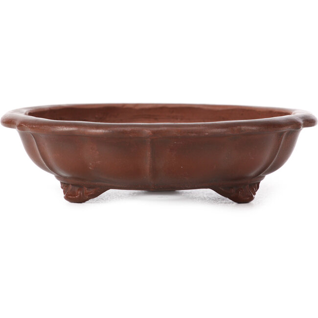 Vaso bonsai non smaltato a forma di loto esagonale di Bigei - 113 x 113 x 33 mm