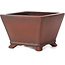 Vaso bonsai quadrato non smaltato di Bigei - 100 x 100 x 60 mm
