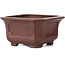 Square unglazed bonsai pot by Bigei - 105 x 105 x 60 mm