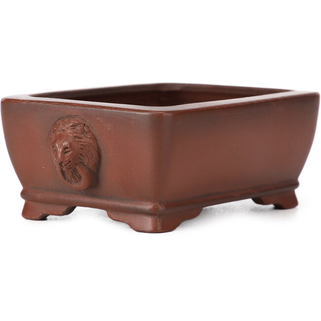 Vaso bonsai rettangolare non smaltato di Bigei - 100 x 75 x 40 mm