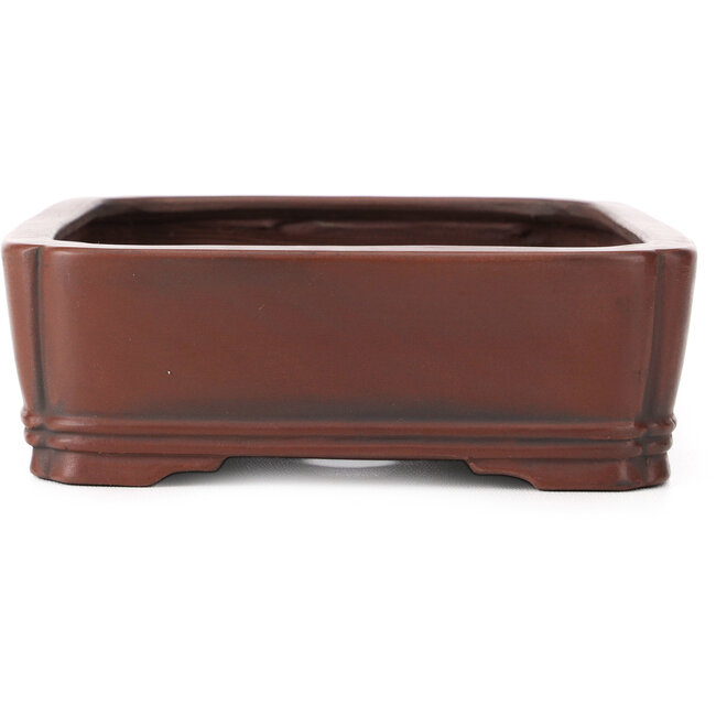 Maceta de bonsái rectangular sin esmaltar de Bigei - 185 x 145 x 45 mm