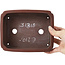Pot à bonsaï rectangulaire non émaillé par Bigei - 185 x 145 x 45 mm