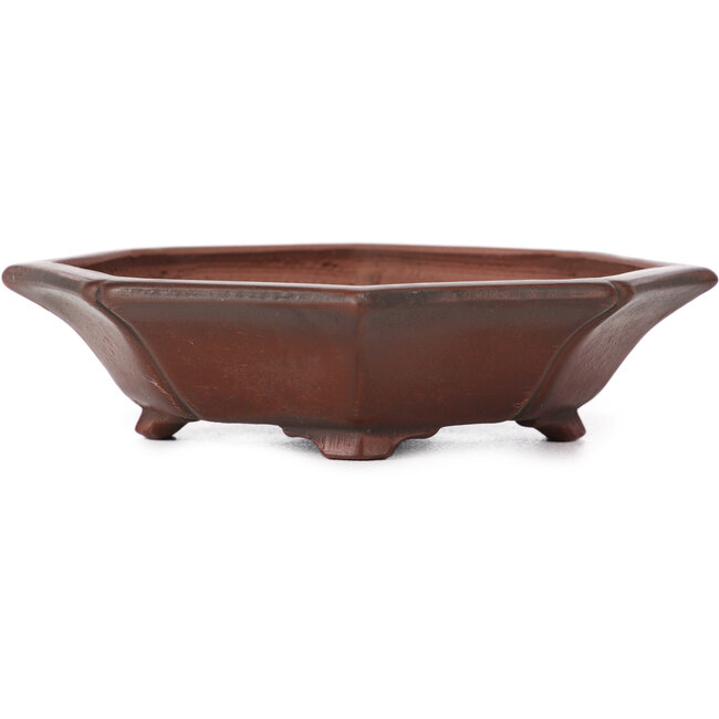 Vaso bonsai ottagonale non smaltato di Bigei - 125 x 110 x 30 mm