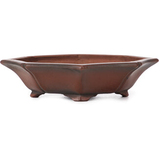 Bigei - Hirata Atsumi 125 mm octagonal unglazed bonsai pot by Bigei, Tokoname, Japan