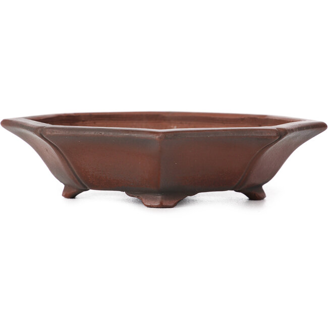 Vaso bonsai ottagonale non smaltato di Bigei - 125 x 110 x 30 mm