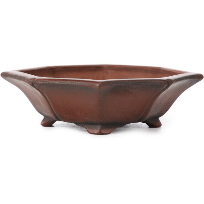 Maceta de bonsái octogonal sin esmaltar de Bigei - 125 x 110 x 30 mm
