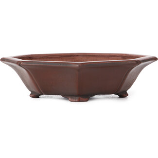 Bigei - Hirata Atsumi Pot à bonsaï octogonal non émaillé de 140 mm par Bigei, Tokoname, Japon