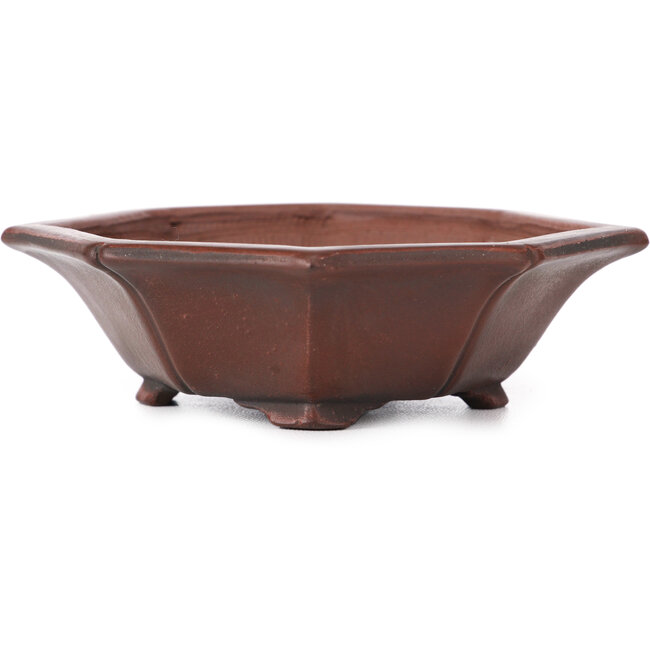 Pot à bonsaï octogonal non émaillé par Bigei - 140 x 125 x 30 mm