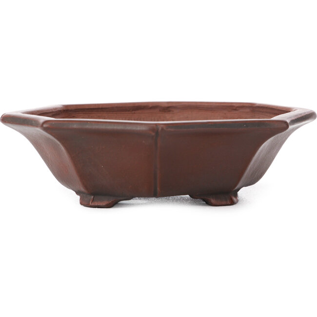 Maceta de bonsái octogonal sin esmaltar de Bigei - 140 x 125 x 30 mm