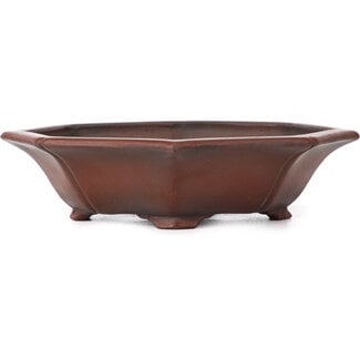 Bigei - Hirata Atsumi 140 mm mokko unglazed bonsai pot by Bigei, Tokoname, Japan