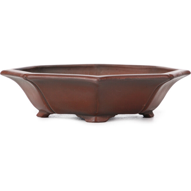 Mokko unglazed bonsai pot by Bigei - 140 x 125 x 30 mm