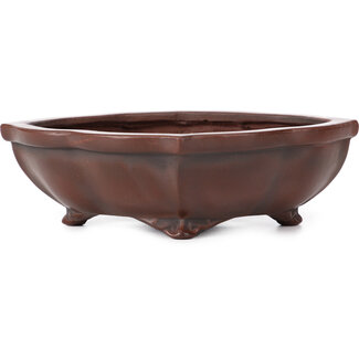 Bigei - Hirata Atsumi Pot à bonsaï mokko non émaillé de 160 mm par Bigei, Tokoname, Japon
