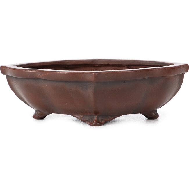 Maceta de bonsái sin esmaltar Mokko de Bigei - 160 x 135 x 45 mm