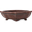 Mokko unglasierte Bonsaischale von Bigei - 160 x 135 x 45 mm