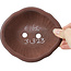 Pot à bonsaï Mokko non émaillé par Bigei - 160 x 140 x 45 mm