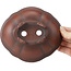 Pot à bonsaï Mokko non émaillé par Bigei - 160 x 140 x 45 mm