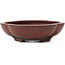 Oval unglazed bonsai pot by Bigei - 195 x 170 x 50 mm