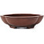 Pot à bonsaï ovale non émaillé par Bigei - 195 x 170 x 50 mm
