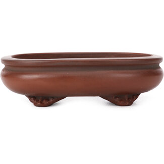 Bigei - Hirata Atsumi 105 mm oval unglazed bonsai pot by Bigei, Tokoname, Japan