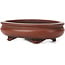 Oval unglazed bonsai pot by Bigei - 105 x 80 x 30 mm