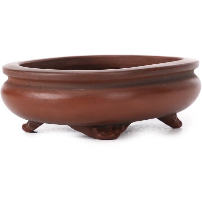 Vaso bonsai ovale non smaltato di Bigei - 105 x 80 x 30 mm