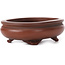 Oval unglazed bonsai pot by Bigei - 105 x 80 x 30 mm