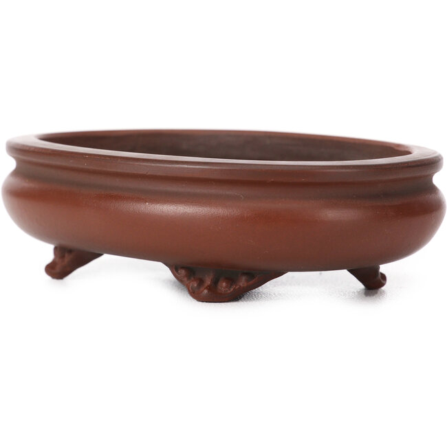 Maceta de bonsái ovalada sin esmaltar de Bigei - 105 x 80 x 30 mm