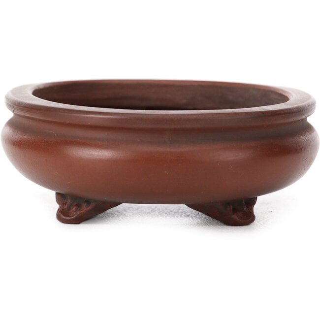 Vaso bonsai ovale non smaltato di Bigei - 105 x 80 x 30 mm