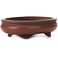 Oval unglazed bonsai pot by Bigei - 105 x 80 x 30 mm