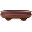 Oval unglazed bonsai pot by Bigei - 105 x 80 x 30 mm