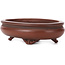 Oval unglazed bonsai pot by Bigei - 105 x 80 x 30 mm