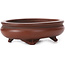 Oval unglazed bonsai pot by Bigei - 105 x 80 x 30 mm