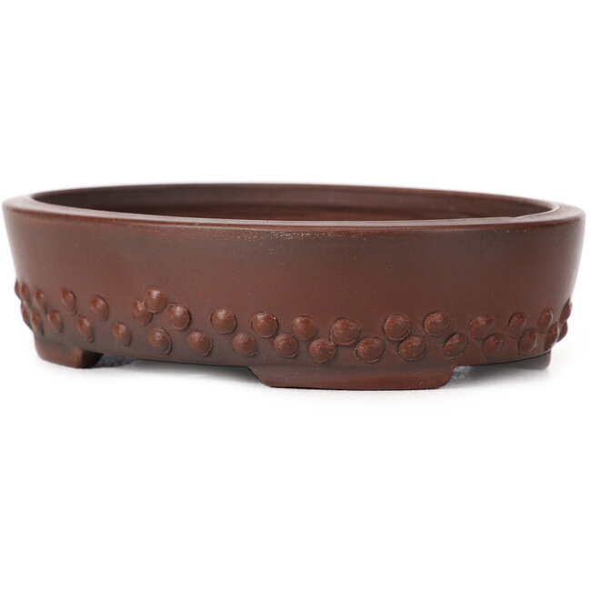Maceta de bonsái ovalada sin esmaltar de Bigei - 125 x 95 x 30 mm