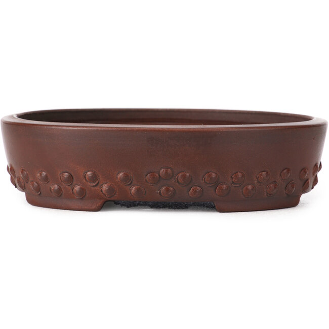 Oval unglazed bonsai pot by Bigei - 125 x 95 x 30 mm